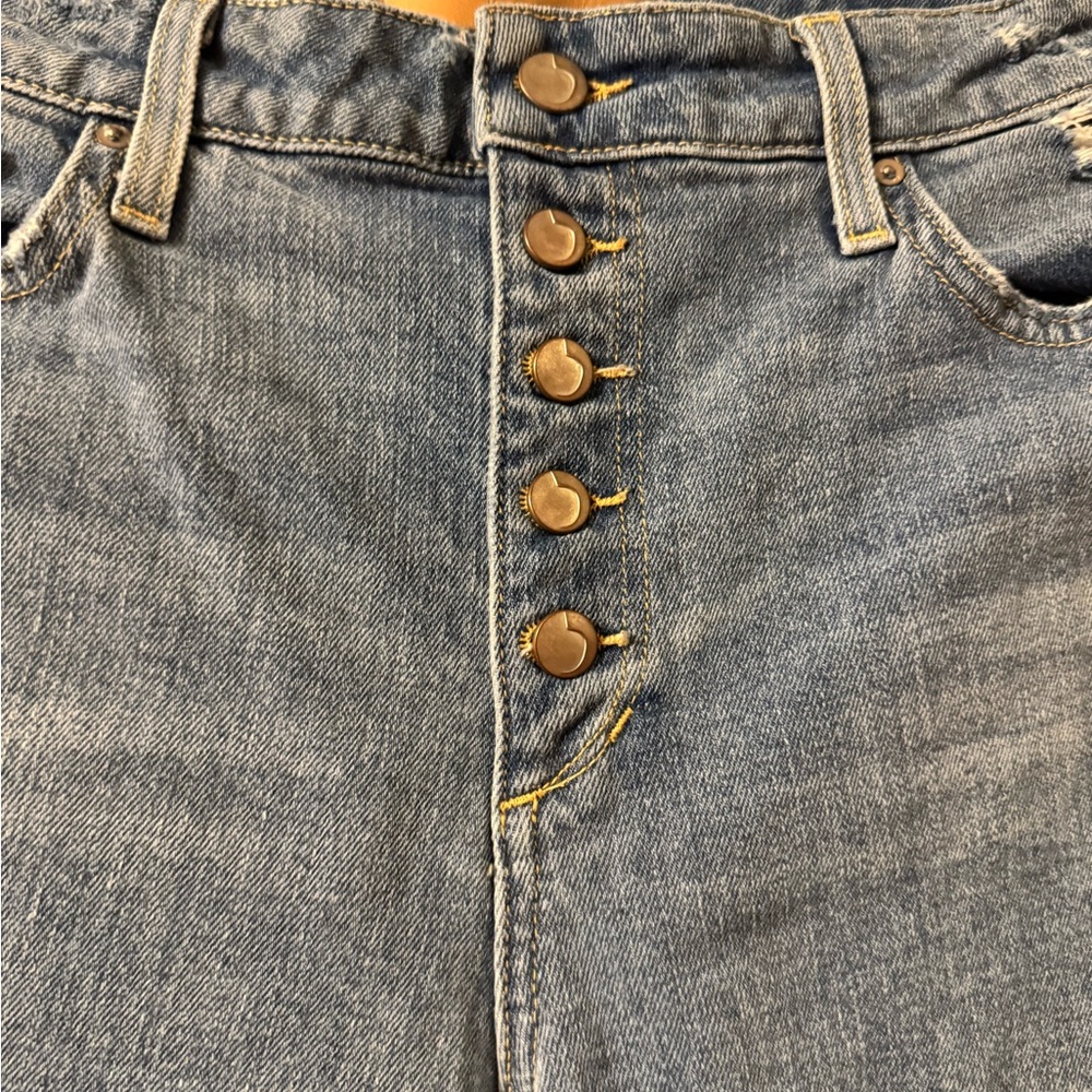 Joe’s Jeans The Wyatt High Rise Retro Crop